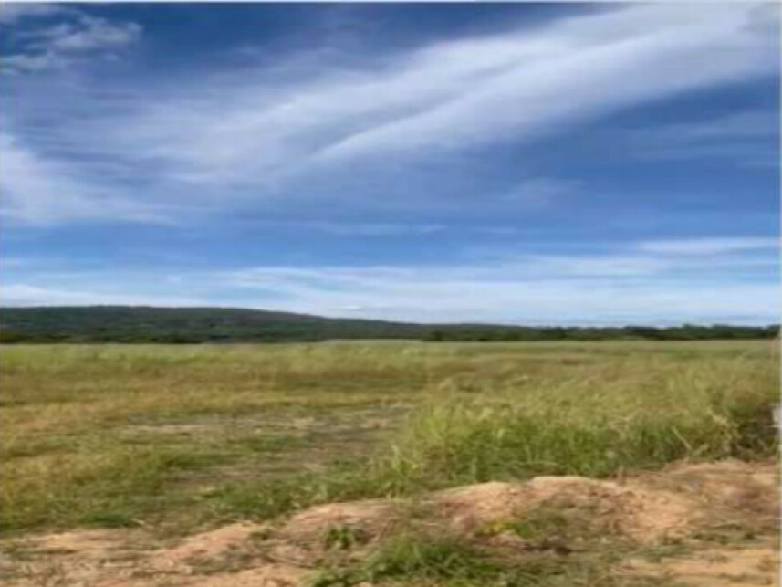 Imagem 9 do Leilão de Fazenda - Zona Rural - Caldas Novas/GO