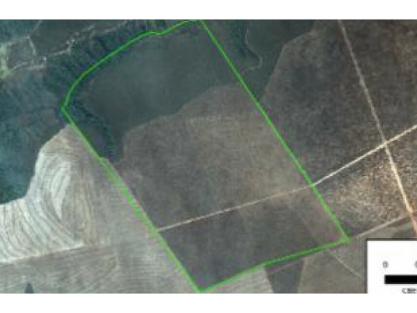 Imagem do Leilão de Área Rural - Zona Rural - Nova Brasilândia/MT