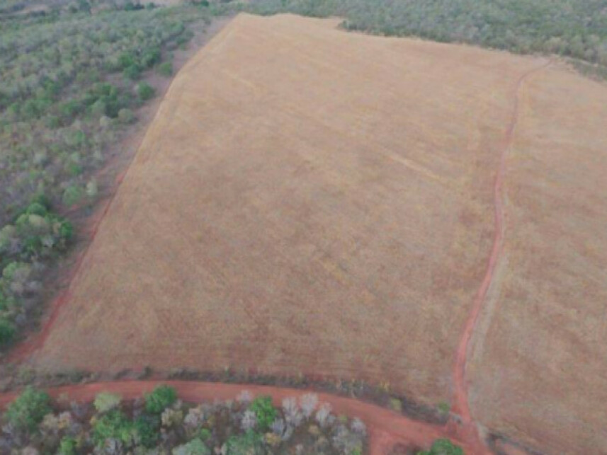 Imagem 3 do Leilão de Área Rural - Zona Rural - Ipueiras/TO