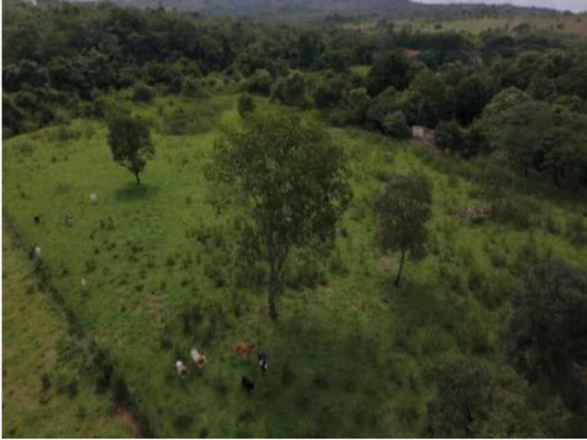 Imagem 3 do Leilão de Área Rural - Zona Rural - Brasilia/DF
