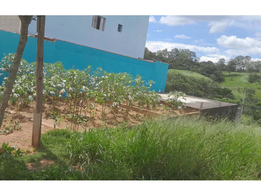 Imagem 2 do Leilão de Terreno - Jardim do Líbano - Guarulhos/SP