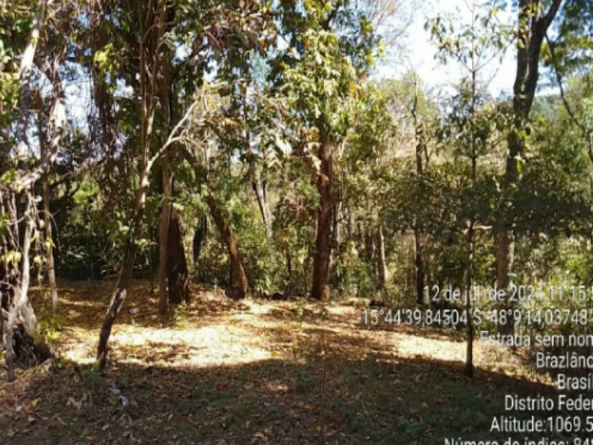 Imagem 5 do Leilão de Área Rural - Brazlândia - Brasilia/DF