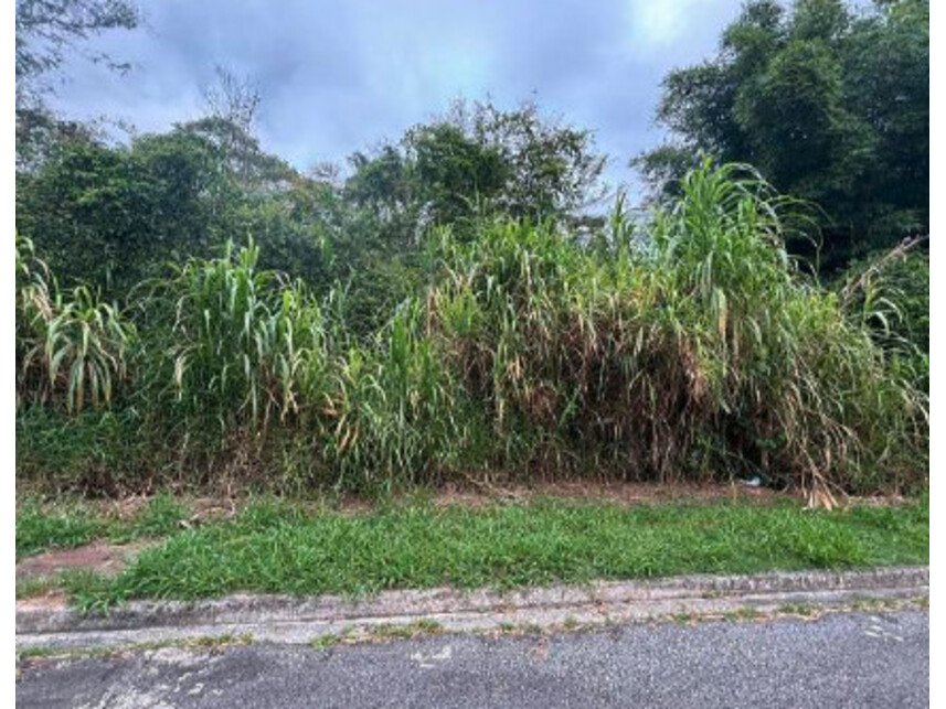 Imagem 2 do Leilão de Terreno - Roçado - São José/SC