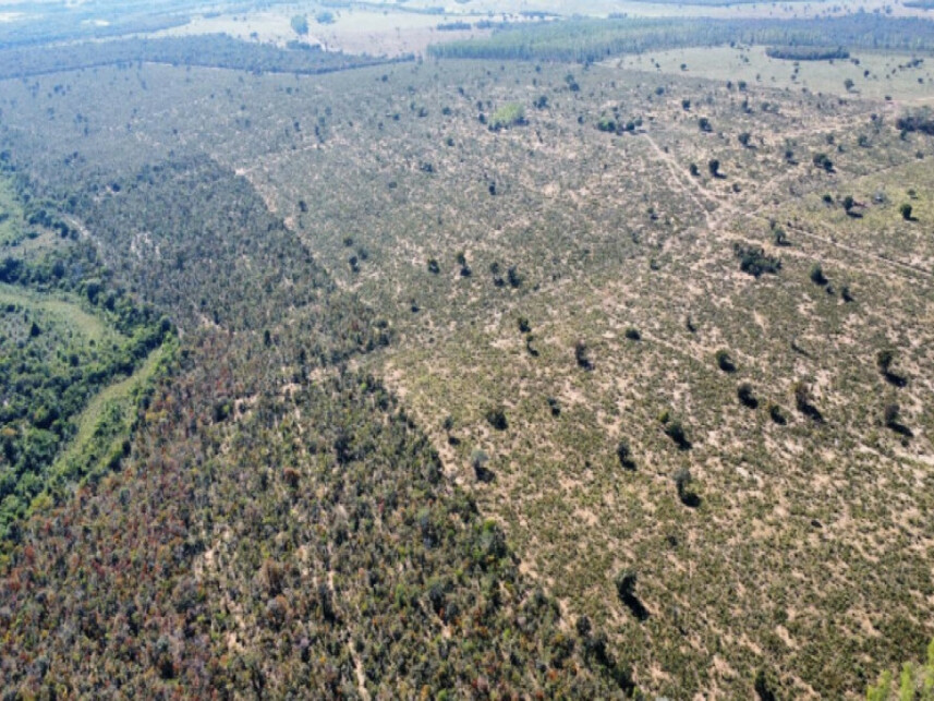 Imagem 2 do Leilão de Área Rural - Zona Rural - Serranópolis/GO