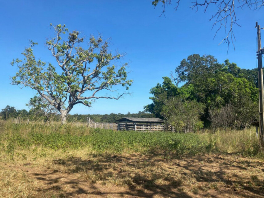 Imagem 6 do Leilão de Área Rural - Zona Rural - Fátima/TO