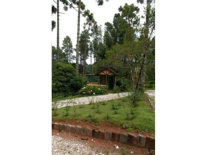 Imagem 21 do Leilão de Casa - Vila Matilde - Campos do Jordão/SP