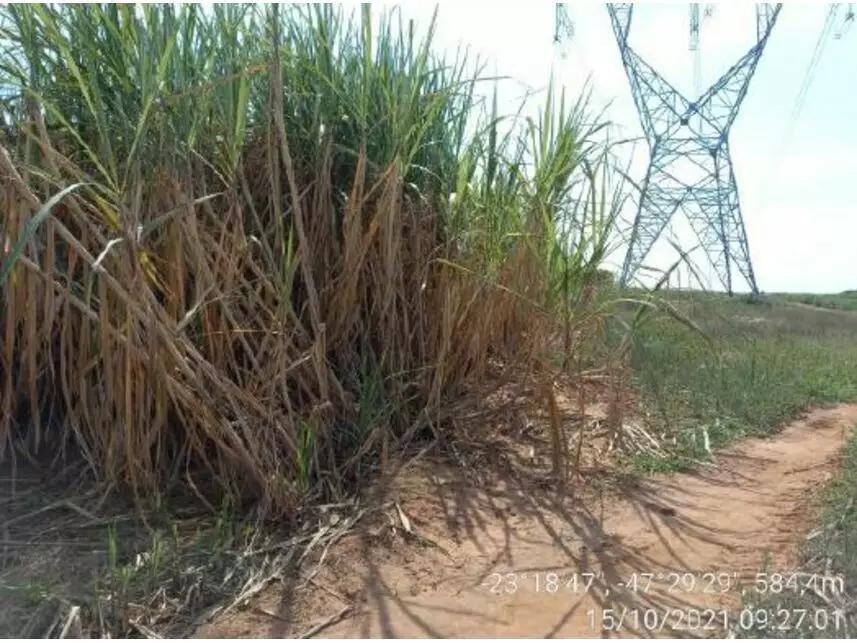 Area rural 40m² em Porto Feliz/SP