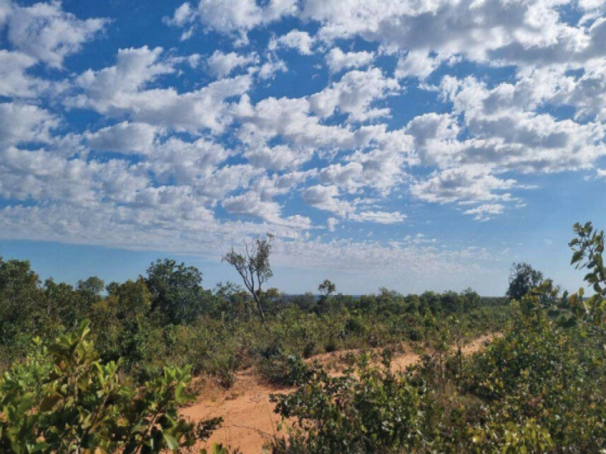 Imagem 6 do Leilão de Fazenda - Zona Rural - Novo Acordo/TO