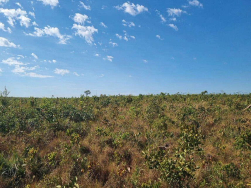 Imagem 7 do Leilão de Fazenda - Zona Rural - Novo Acordo/TO