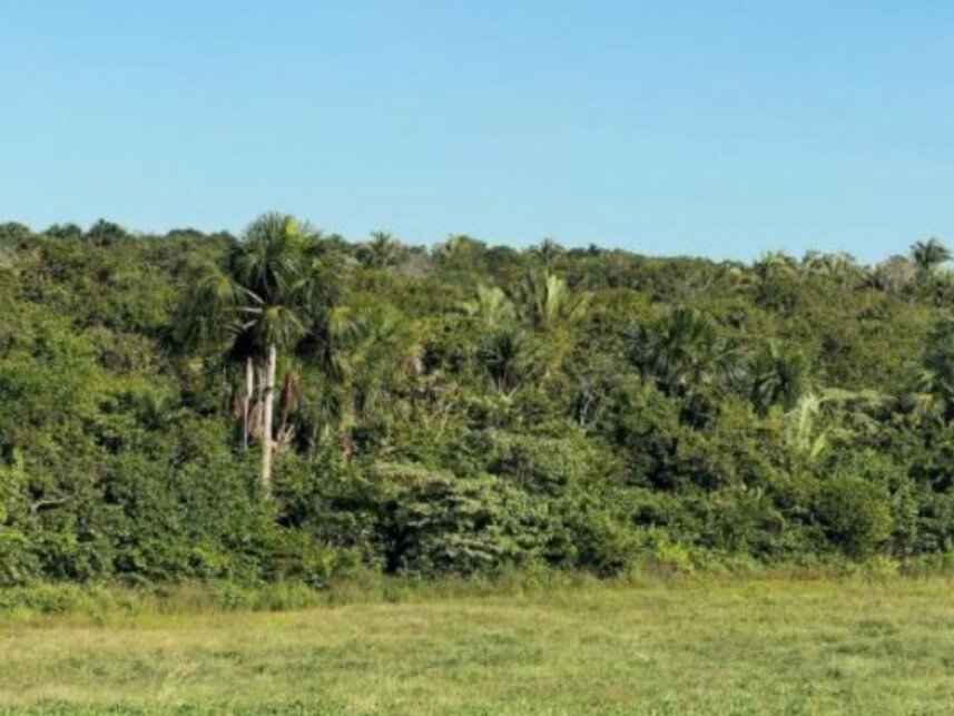 Imagem 7 do Leilão de Área Rural - Zona Rural - Goianorte/TO