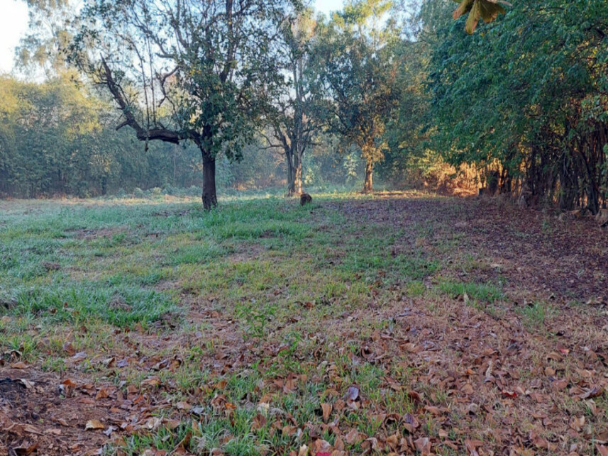 Imagem 8 do Leilão de Imóvel Comercial - Viuval - Bariri/SP
