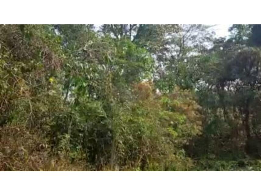 Imagem 3 do Leilão de Terreno - Loteamento Residencial Fazenda São José - Valinhos/SP