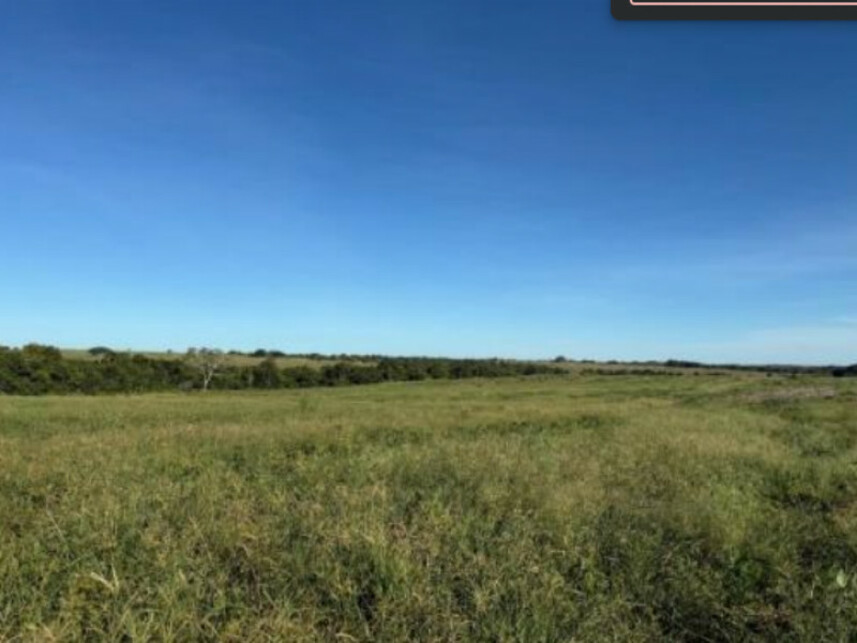 Imagem 6 do Leilão de Área Rural - Zona Rural - Goianorte/TO