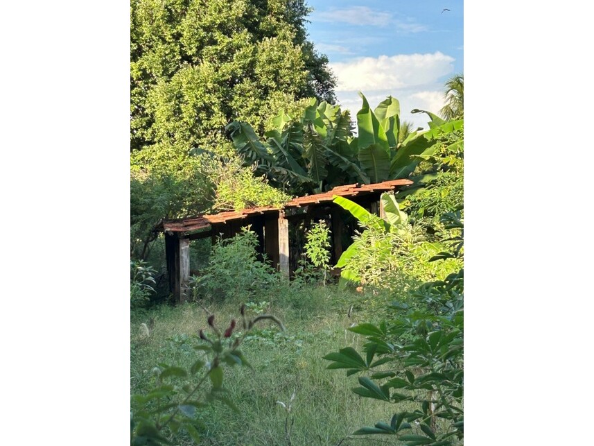 Imagem 6 do Leilão de Terreno - Primitivo Acima/Linha Fepasa - Colina/SP