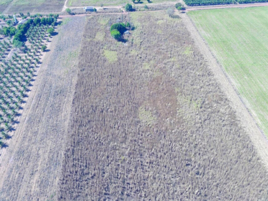 Imagem 2 do Leilão de Terreno - Polo de Fruticultura Irrigada São João - Porto Nacional/TO