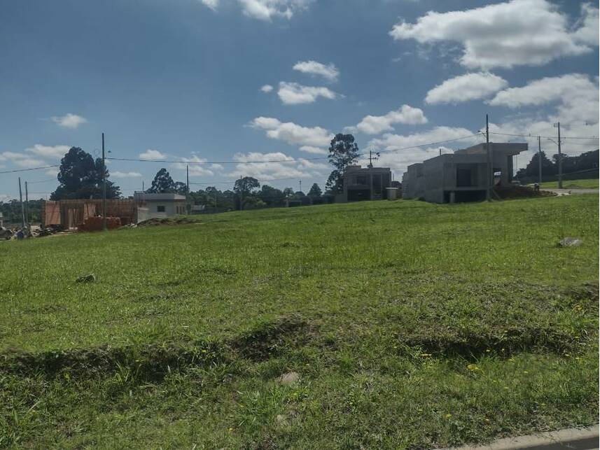 Imagem 3 do Leilão de Terreno - Colônia Dona Luíza - Ponta Grossa/PR