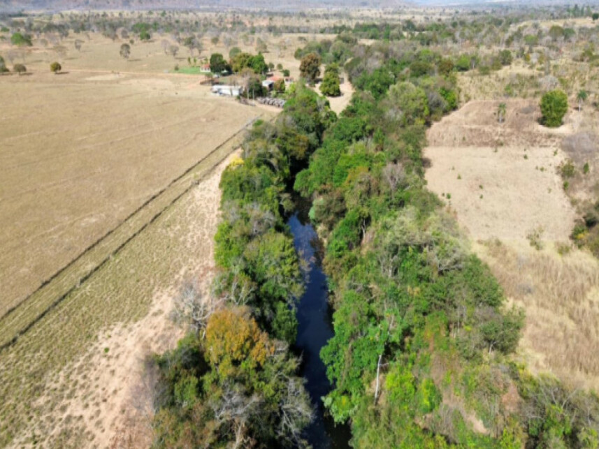 Imagem 3 do Leilão de Área Rural - Zona Rural - Buritis/MG