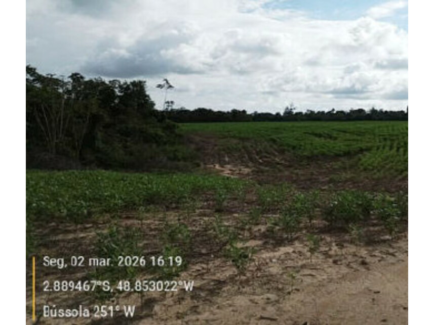 Imagem 13 do Leilão de Área Rural - Zona Rural - Tailândia/PA