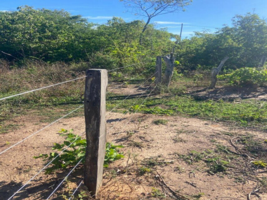 Imagem 4 do Leilão de Área Rural - Área Rural de Luislândia - Luislândia/MG