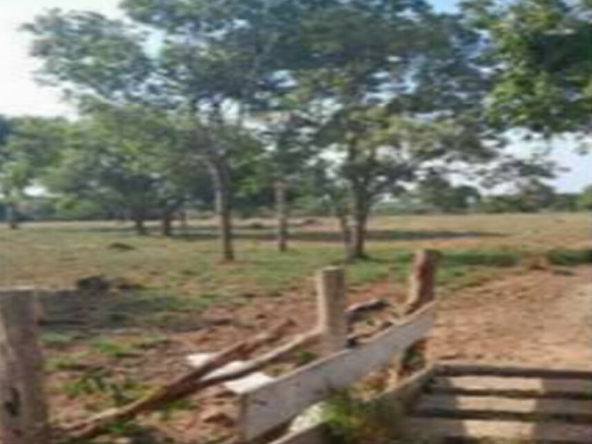 Imagem 2 do Leilão de Fazenda - Loteamento Boa Esperança - Presidente Kennedy/TO