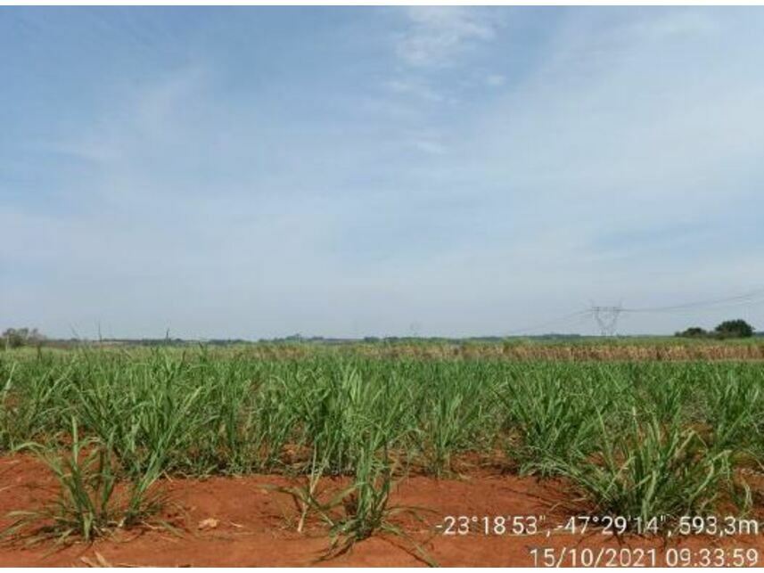 Imagem 4 do Leilão de Área Rural - Zona Rural - Porto Feliz/SP