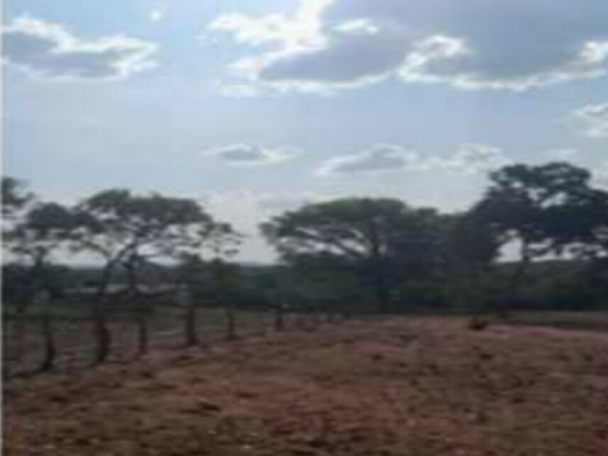 Imagem 3 do Leilão de Fazenda - Loteamento Boa Esperança - Presidente Kennedy/TO