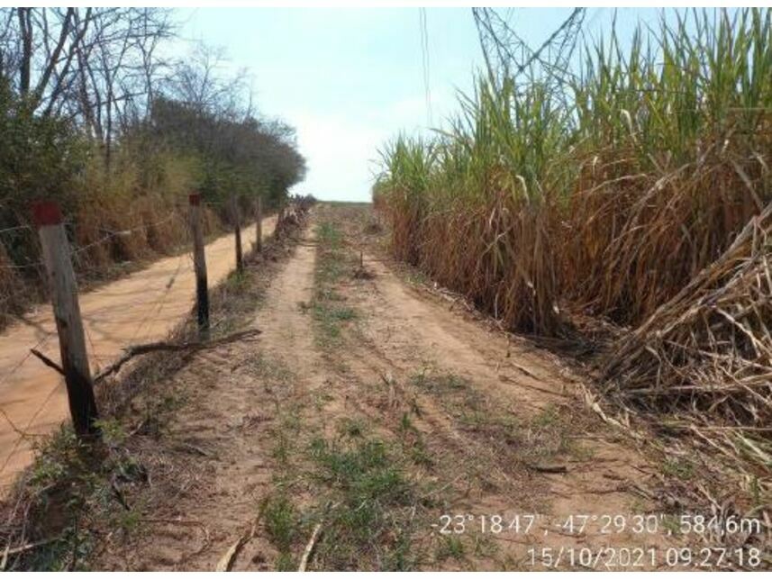 Imagem 10 do Leilão de Área Rural - Zona Rural - Porto Feliz/SP