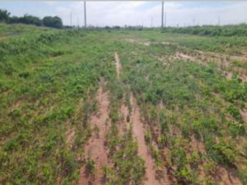 Imagem 3 do Leilão de Terreno - Eco Park Cantoni - Guaiçara/SP