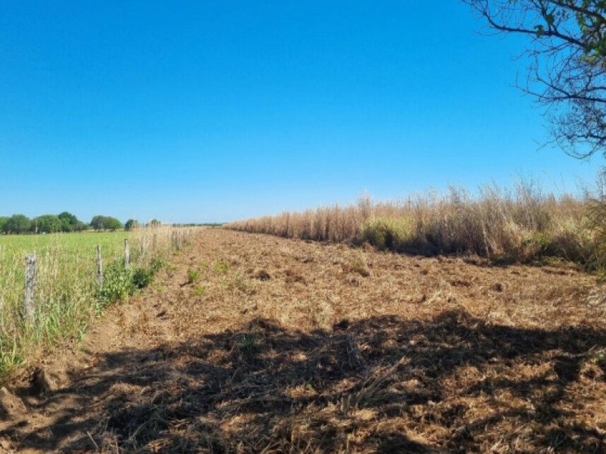 Imagem 4 do Leilão de Terreno - Polo de Fruticultura Irrigada São João - Porto Nacional/TO