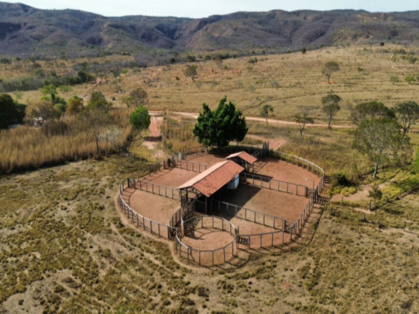 Imagem 7 do Leilão de Área Rural - Zona Rural - Buritis/MG