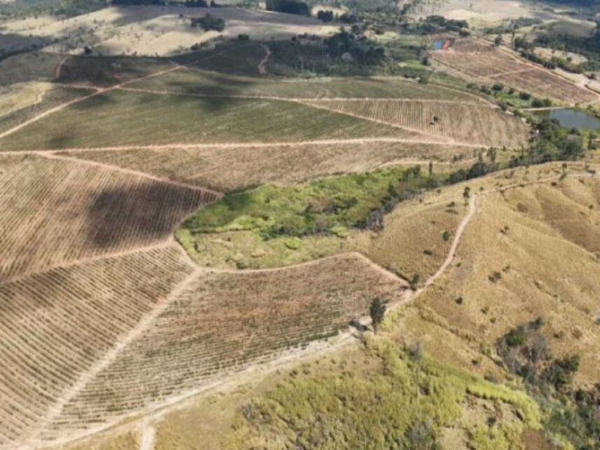 Imagem 3 do Leilão de Área Rural - Sítio Santa Maria - São José do Rio Pardo/SP