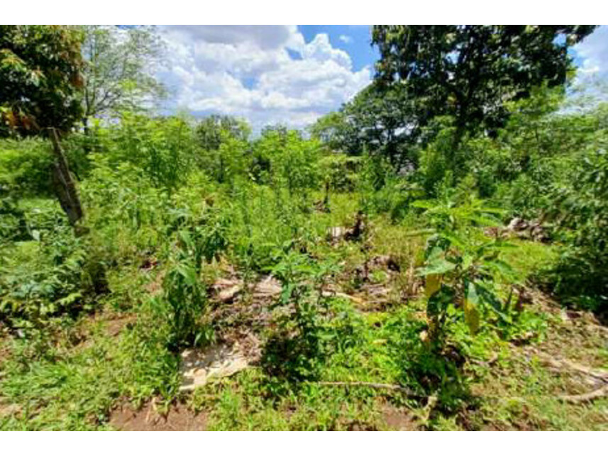 Imagem 3 do Leilão de Gleba de Terras - Parque São Rafael - São Paulo/SP