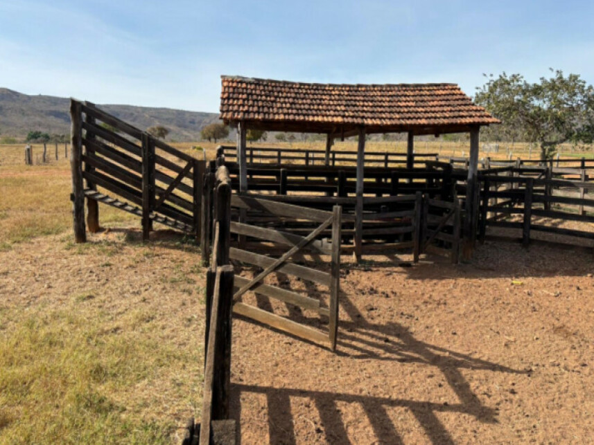 Imagem 6 do Leilão de Área Rural - Zona Rural - Buritis/MG