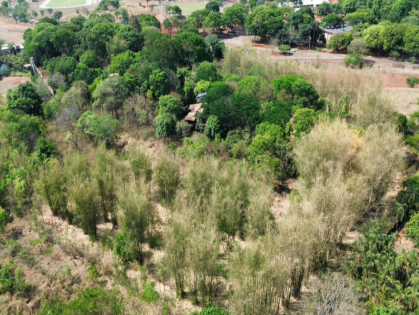 Imagem 3 do Leilão de Área Rural - Fazenda Retiro - Goiânia/GO