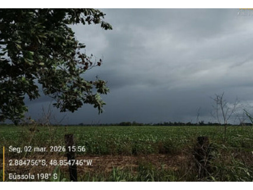 Imagem 7 do Leilão de Área Rural - Zona Rural - Tailândia/PA