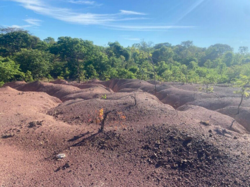Imagem 6 do Leilão de Área Rural - Área Rural de Luislândia - Luislândia/MG