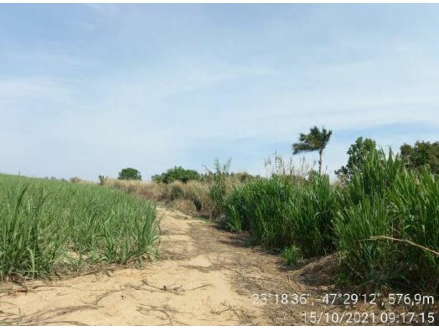 Imagem 16 do Leilão de Área Rural - Zona Rural - Porto Feliz/SP
