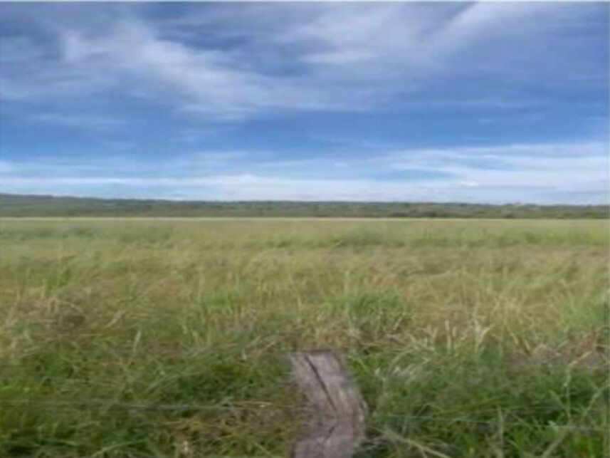 Imagem 6 do Leilão de Fazenda - Zona Rural - Caldas Novas/GO