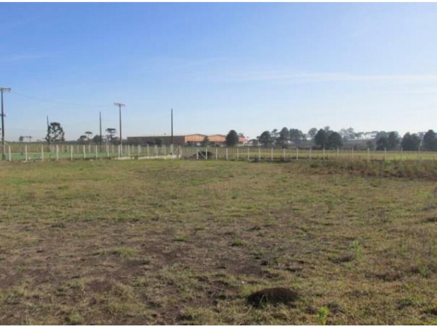 Imagem 8 do Leilão de Terreno c/benfeitorias - Costeira - São José dos Pinhais/PR