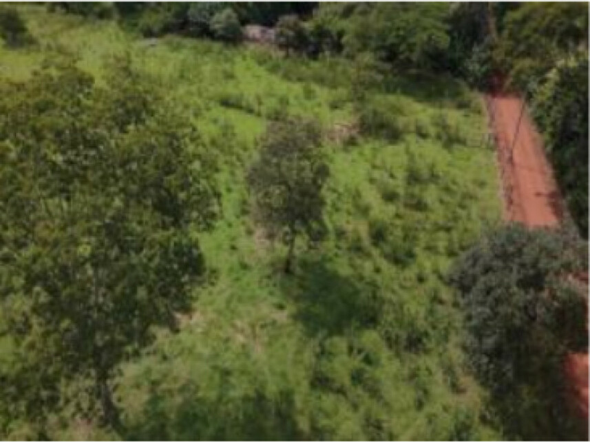 Imagem 7 do Leilão de Área Rural - Zona Rural - Brasilia/DF