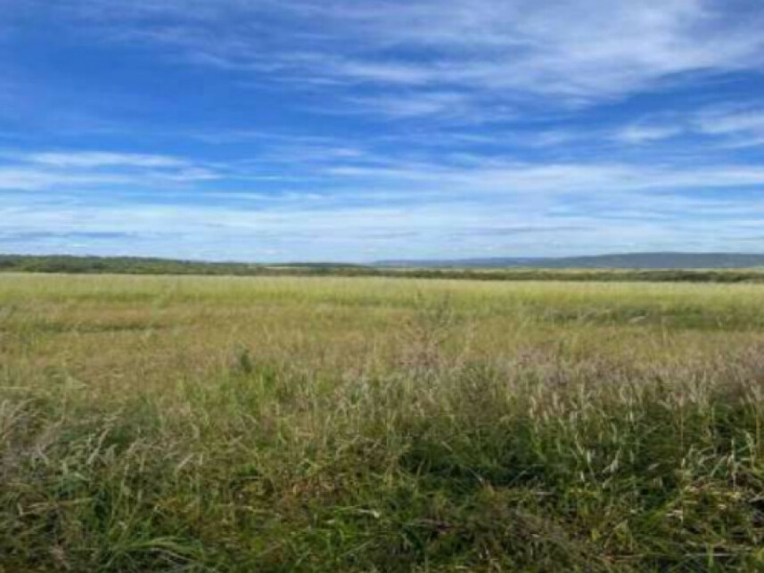 Imagem 2 do Leilão de Fazenda - Zona Rural - Caldas Novas/GO