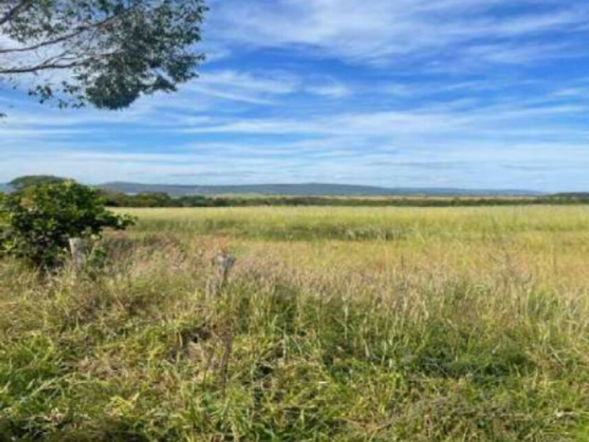 Imagem 3 do Leilão de Fazenda - Zona Rural - Caldas Novas/GO