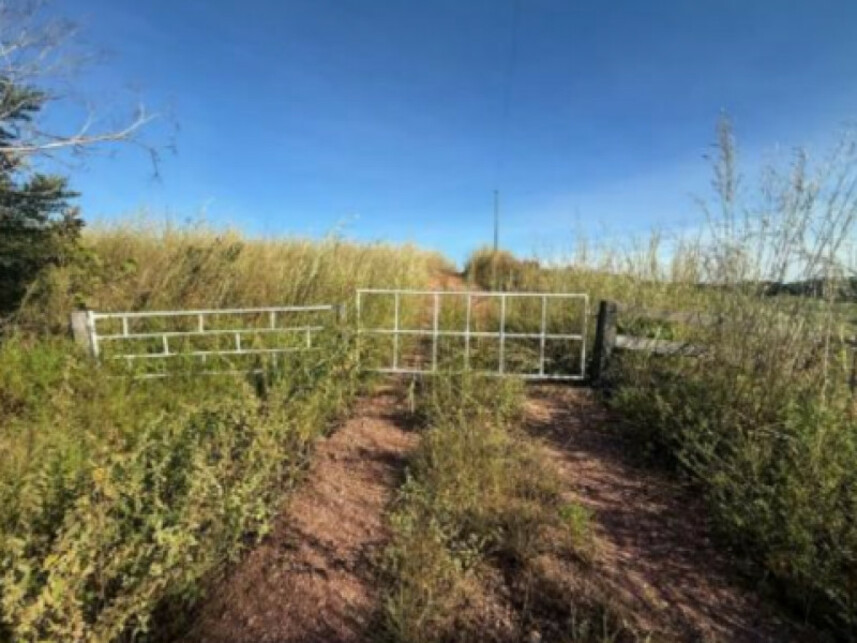 Imagem 2 do Leilão de Área Rural - Zona Rural - Goianorte/TO