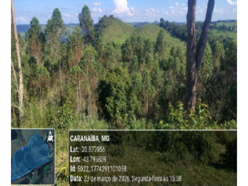 Imagem 2 do Leilão de Área Rural - Zona Rural - Caranaíba/MG
