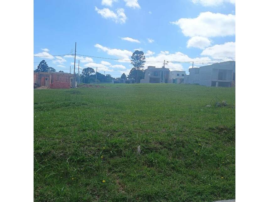 Imagem 2 do Leilão de Terreno - Colônia Dona Luíza - Ponta Grossa/PR