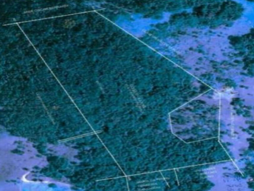 Imagem 3 do Leilão de Chácara - Firminada - Monte Sião/MG