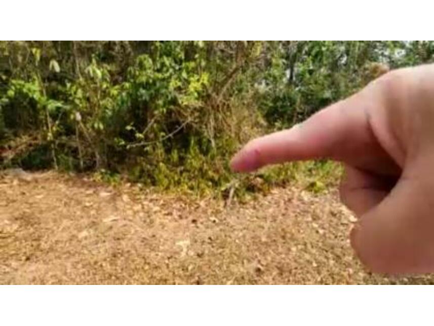 Imagem 6 do Leilão de Terreno - Loteamento Residencial Fazenda São José - Valinhos/SP