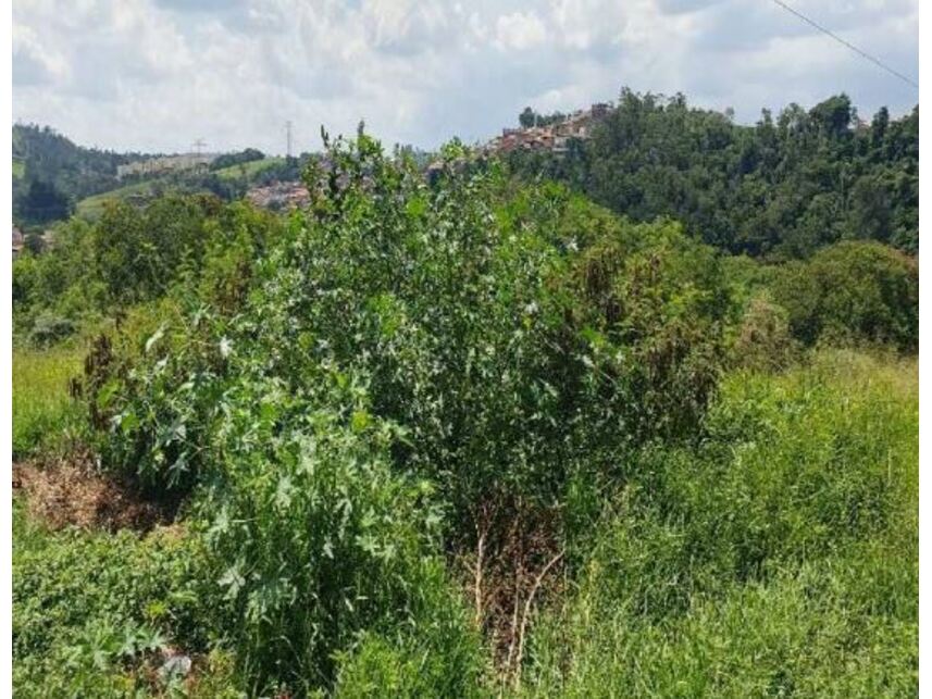 Imagem 5 do Leilão de Terreno - Afonso Zupardo - Itatiba/SP