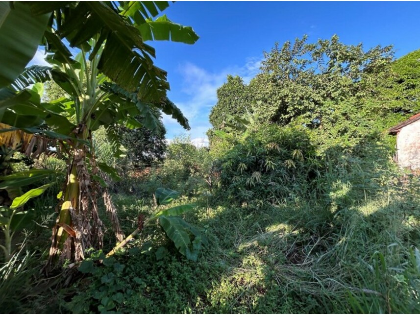 Imagem 3 do Leilão de Terreno - Primitivo Acima/Linha Fepasa - Colina/SP