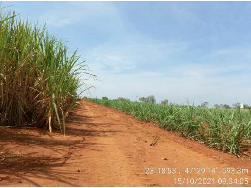 Imagem 3 do Leilão de Área Rural - Zona Rural - Porto Feliz/SP